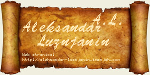 Aleksandar Lužnjanin vizit kartica